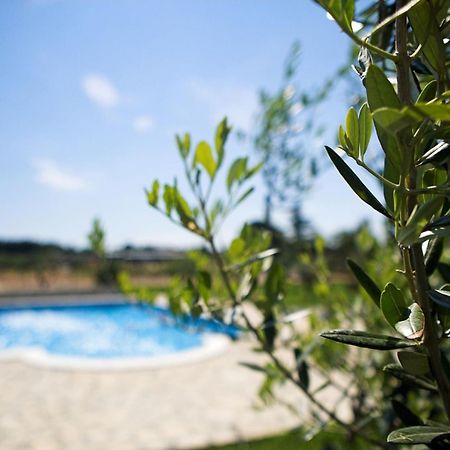 Marceta - Apartments & Rooms With Swimming Pool Fažana Extérieur photo